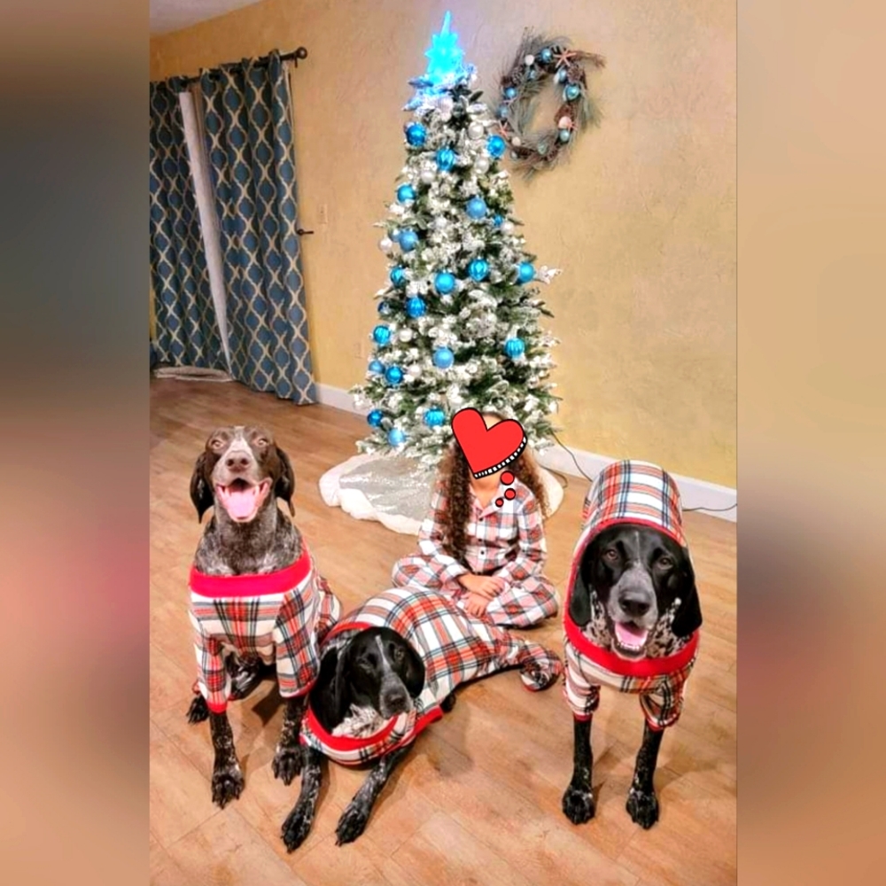 Doggy PJs Christmas SIZE XL EUC
